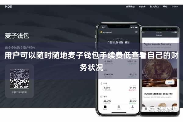 用户可以随时随地麦子钱包手续费低查看自己的财务状况