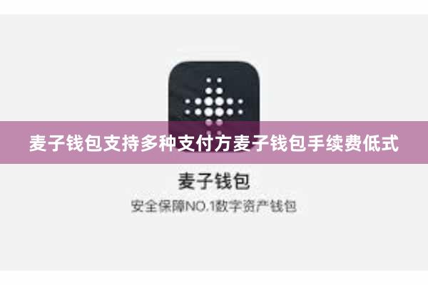 麦子钱包支持多种支付方麦子钱包手续费低式