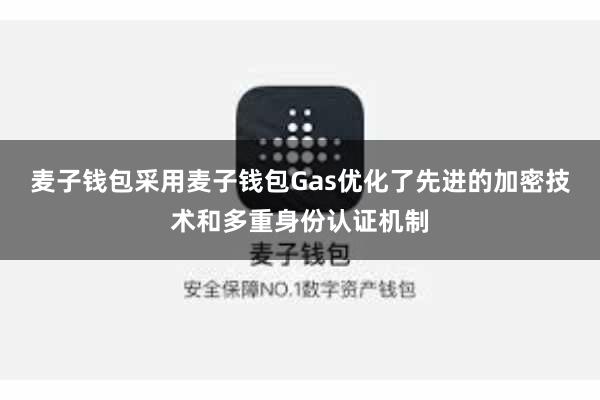 麦子钱包采用麦子钱包Gas优化了先进的加密技术和多重身份认证机制