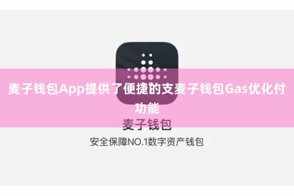 麦子钱包App提供了便捷的支麦子钱包Gas优化付功能