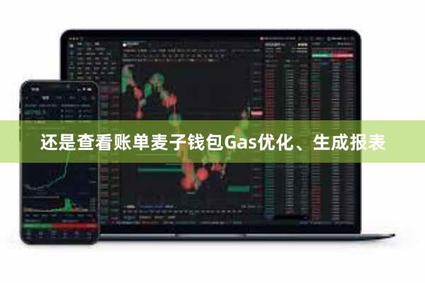 还是查看账单麦子钱包Gas优化、生成报表
