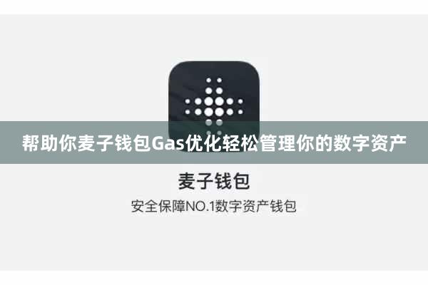 帮助你麦子钱包Gas优化轻松管理你的数字资产