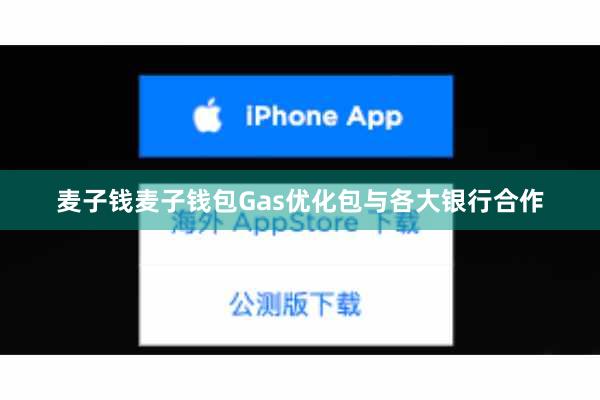 麦子钱麦子钱包Gas优化包与各大银行合作