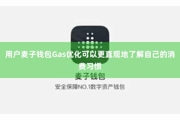用户麦子钱包Gas优化可以更直观地了解自己的消费习惯