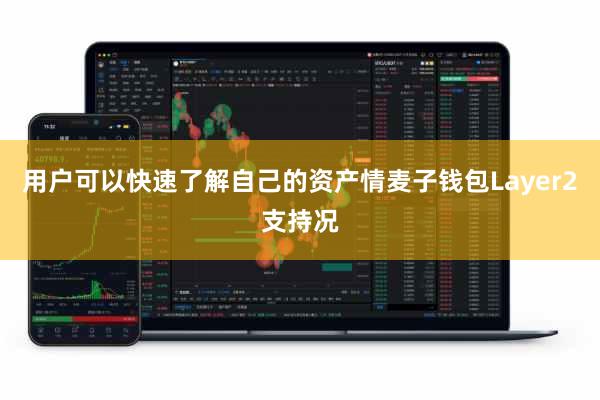 用户可以快速了解自己的资产情麦子钱包Layer2支持况