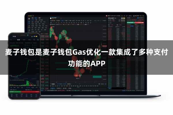 麦子钱包是麦子钱包Gas优化一款集成了多种支付功能的APP
