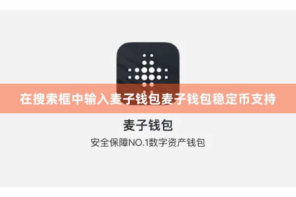 在搜索框中输入麦子钱包麦子钱包稳定币支持