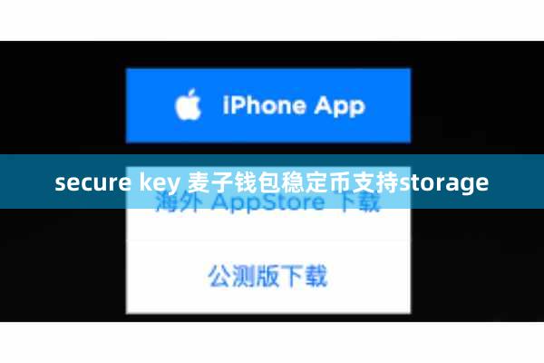 secure key 麦子钱包稳定币支持storage