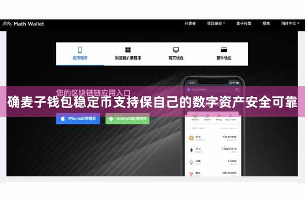 确麦子钱包稳定币支持保自己的数字资产安全可靠