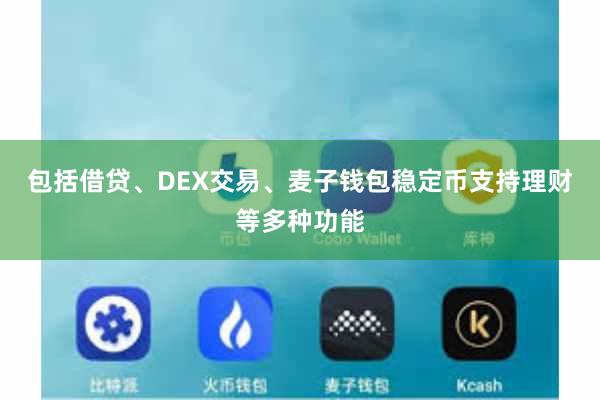 包括借贷、DEX交易、麦子钱包稳定币支持理财等多种功能