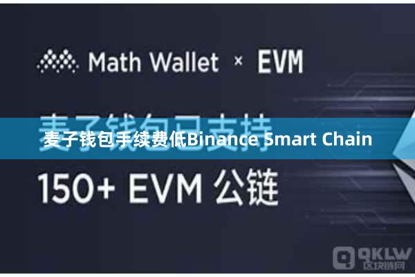 麦子钱包手续费低Binance Smart Chain