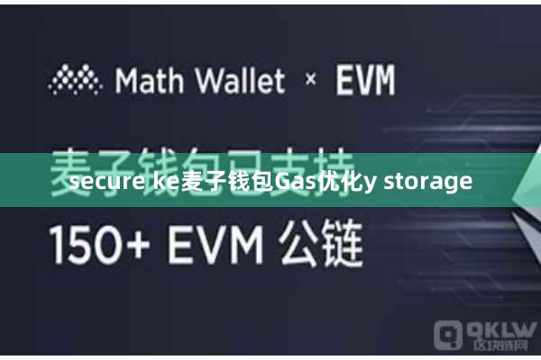 secure ke麦子钱包Gas优化y storage