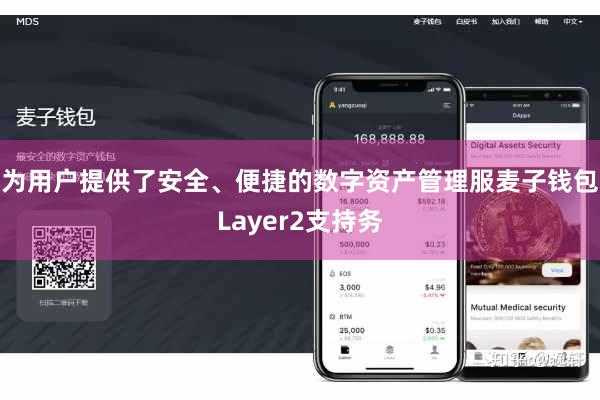 为用户提供了安全、便捷的数字资产管理服麦子钱包Layer2支