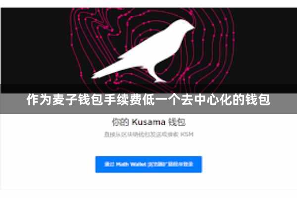 作为麦子钱包手续费低一个去中心化的钱包