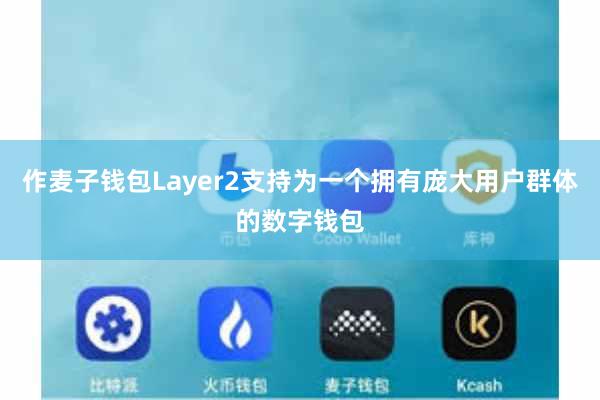 作麦子钱包Layer2支持为一个拥有庞大用户群体的数字钱包