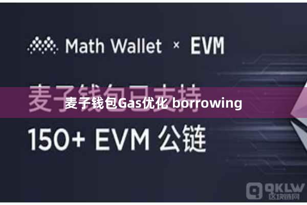 麦子钱包Gas优化 borrowing