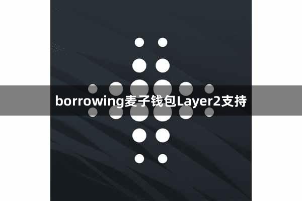 borrowing麦子钱包Layer2支持