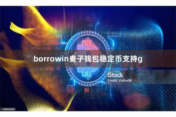 borrowin麦子钱包稳定币支持g