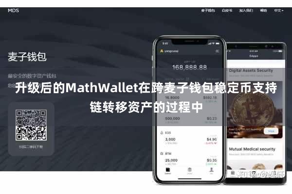 升级后的MathWallet在跨麦子钱包稳定币支持链转移资产的过程中