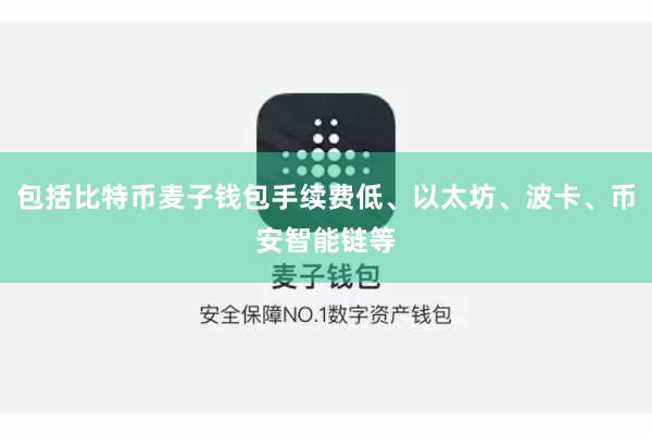 包括比特币麦子钱包手续费低、以太坊、波卡、币安智能链等