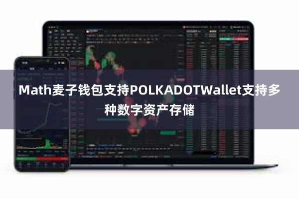 Math麦子钱包支持POLKADOTWallet支持多种数字资产存储