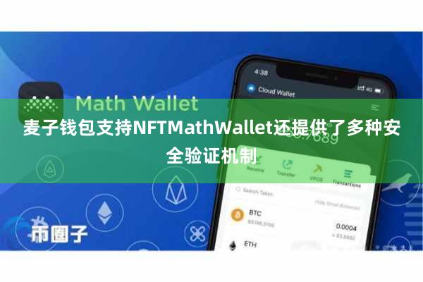 麦子钱包支持NFTMathWallet还提供了多种安全验证机制