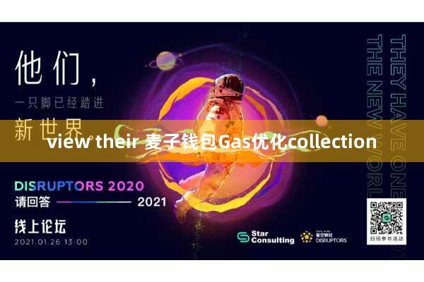 view their 麦子钱包Gas优化collection