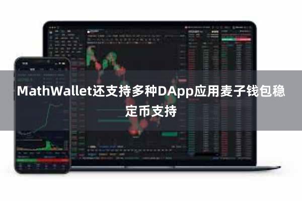 MathWallet还支持多种DApp应用麦子钱包稳定币支持
