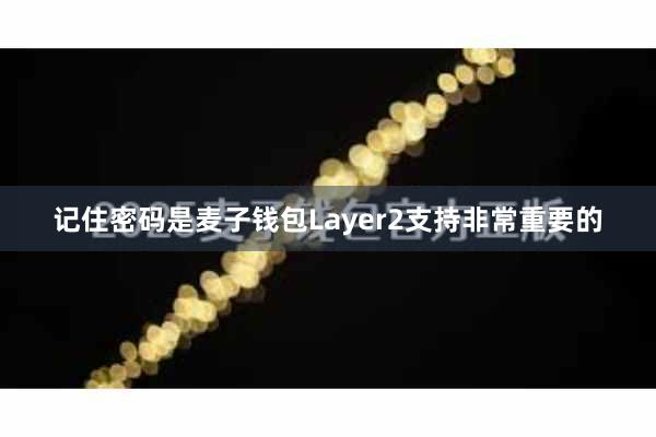 记住密码是麦子钱包Layer2支持非常重要的