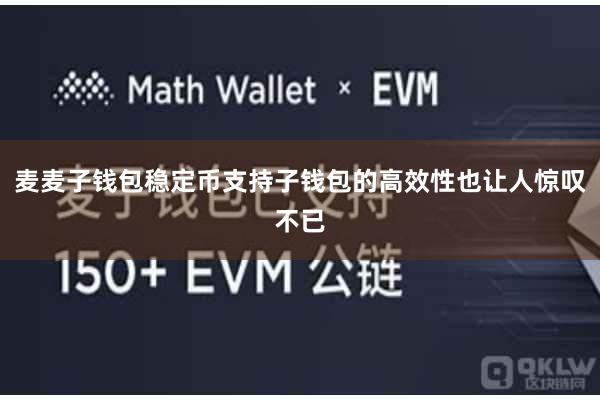 麦麦子钱包稳定币支持子钱包的高效性也让人惊叹不已