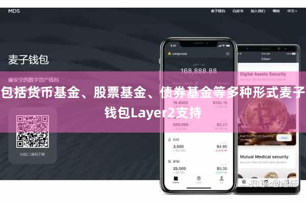 包括货币基金、股票基金、债券基金等多种形式麦子钱包Layer2支持