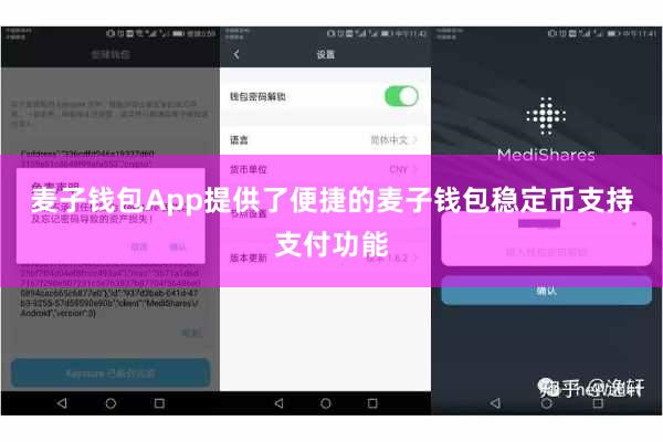 麦子钱包App提供了便捷的麦子钱包稳定币支持支付功能