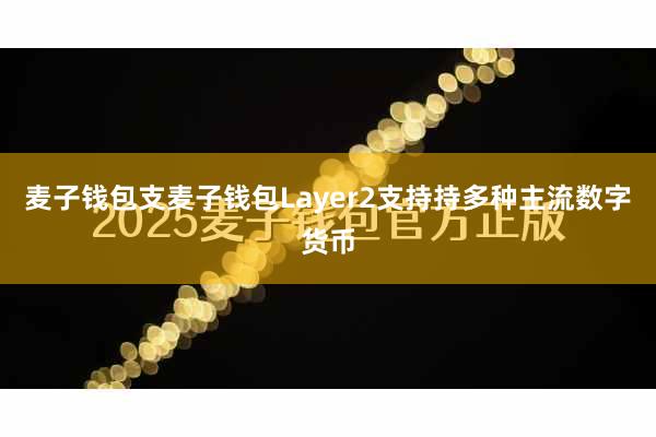 麦子钱包支麦子钱包Layer2支持持多种主流数字货币