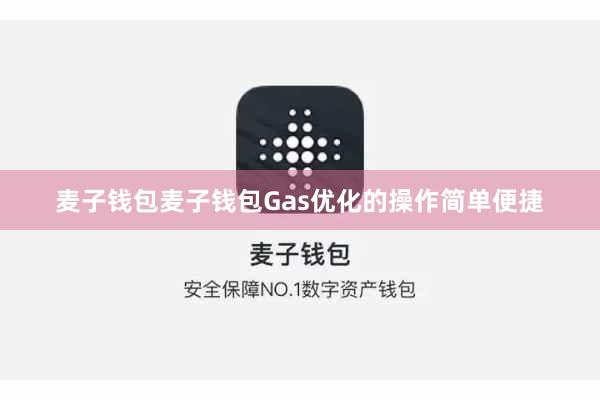 麦子钱包麦子钱包Gas优化的操作简单便捷
