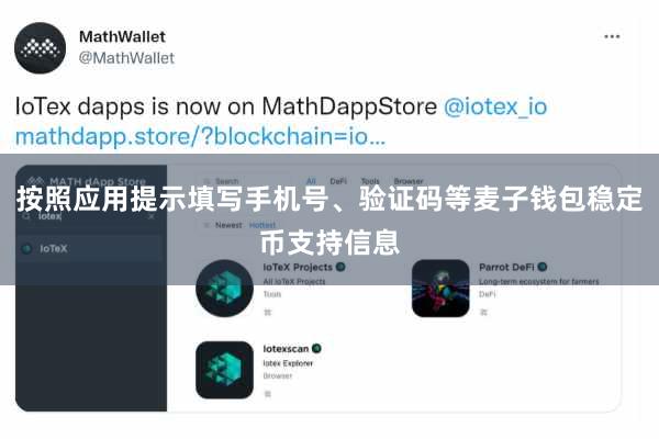 按照应用提示填写手机号、验证码等麦子钱包稳定币支持信息