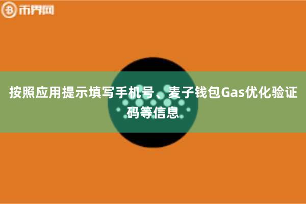按照应用提示填写手机号、麦子钱包Gas优化验证码等信息