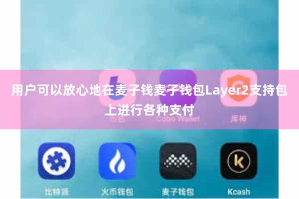 用户可以放心地在麦子钱麦子钱包Layer2支持包上进行各种支