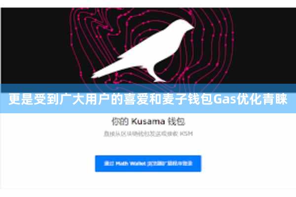 更是受到广大用户的喜爱和麦子钱包Gas优化青睐