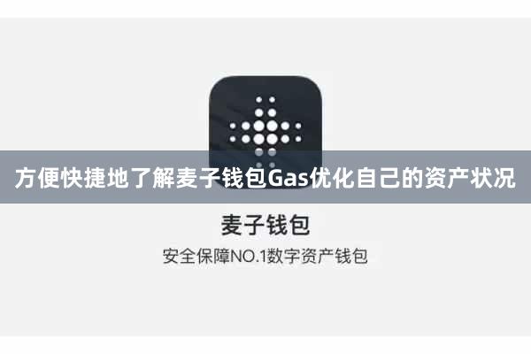 方便快捷地了解麦子钱包Gas优化自己的资产状况