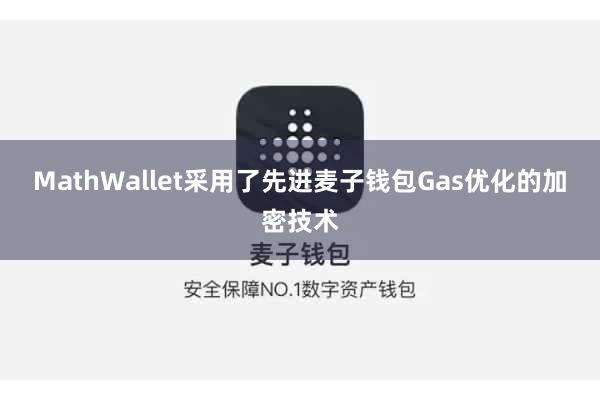 MathWallet采用了先进麦子钱包Gas优化的加密技术
